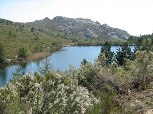 http://www.sardiniandiscovery.com/public/foto/Generiche/Luoghi/Monte_Limbara/Limbara%201.jpg